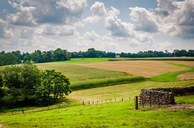 What Is a Farmland REIT?