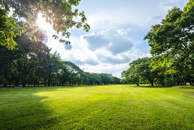 Are Parks Eligible for Opportunity Zones?